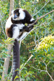 Madagascar-332.jpg