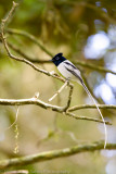 Madagascar-276.jpg