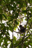 Guatemala-112.jpg