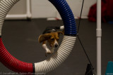Violet 2012-67.jpg