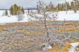 Yellowstone-211-Edit.jpg