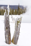 Yellowstone-282-Edit.jpg