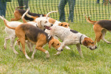 Brandywine Hills 2012-124.jpg