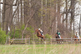 Brandywine Hills 2012-160.jpg