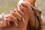 Brandywine Hills 2012-61.jpg