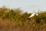 Zambia 2012-46.jpg