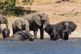 Botswana 2012-618.jpg