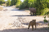 Botswana 2012-858.jpg