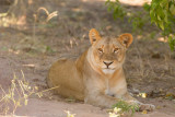 Botswana 2012-863.jpg