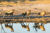 Botswana 2012-1660.jpg
