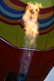 IMG_6313.jpg