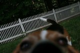 2007_0223.jpg