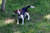 2007_0411.jpg
