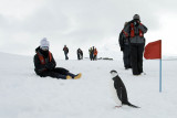 ANTARCTICARAW_0065.jpg