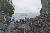 ANTARCTICARAW_0093.jpg