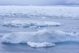 ANTARCTICARAW_0160.jpg