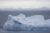 ANTARCTICARAW_0216.jpg