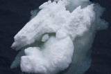 ANTARCTICARAW_0245.jpg