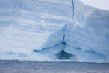 ANTARCTICARAW_0373.jpg