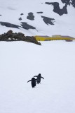 ANTARCTICARAW_0512.jpg