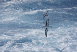 antarcticajpeg_0544.jpg