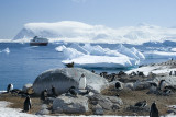 antarcticaraw_0775.jpg