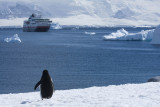 antarcticaraw_0788.jpg