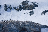 antarcticaraw_0814.jpg