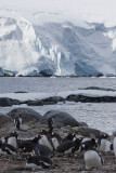 antarcticaraw_1084.jpg