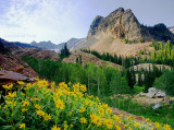Sundial Peak with Wildflowers