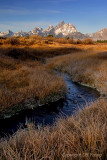 Teton Range and small autumn stream