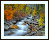 Painted Fall stream.jpg