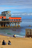 Picnic in Monterey, California