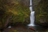 Multnomah Falls - Columbia Gorge, OR