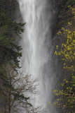 Multnomah Falls - Columbia Gorge, OR
