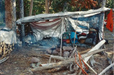 Elk Camp Shelter