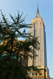 New York_005.jpg