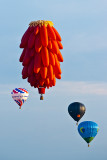 Chambley Mondial Air Ballons 2011_048.jpg