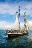 Les Tonnerres de Brest 2012 _021.jpg
