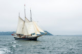 Les Tonnerres de Brest 2012 _036.jpg
