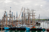 Douarnenez 2012 _006.jpg