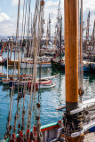 Douarnenez 2012 _011.jpg