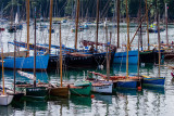 Douarnenez 2012 _020.jpg
