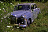 Abandoned Mercedes