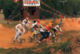 Dixieland BMX (Skip in lavender) SE Quad