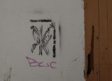 BUC Cordoba.jpg