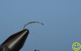 How i tied a Sharpies Thredbo emerger.jpg