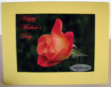 A Mothers Day card for OWH