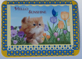 Kitten card for Matthew's Project
