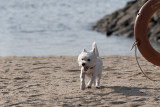 IMG_6518_DxO.jpg